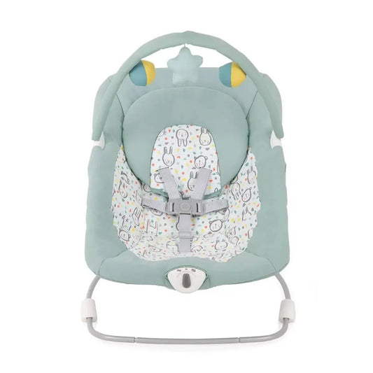 Graco Cheerie Bunny and Bear Bouncer