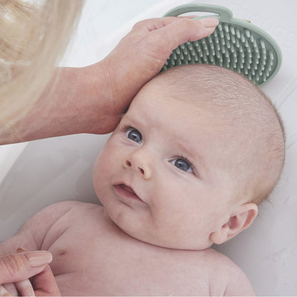 Shnuggle Baby Bath Brush- Eucalyptus