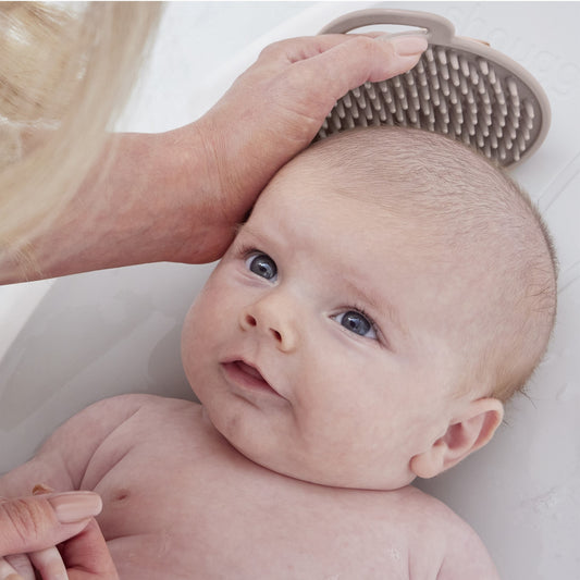 Shnuggle Baby Bath Brush- Taupe
