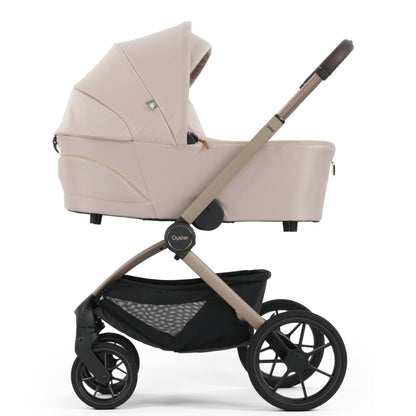 Oyster Vee One-Box Bundle