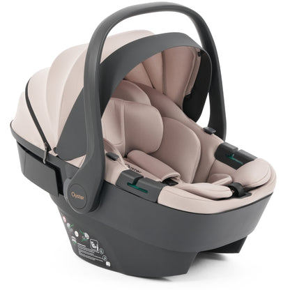 Oyster Vee One-Box Bundle