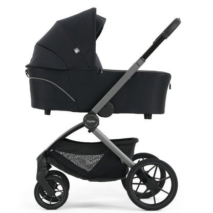 Oyster Vee One-Box Bundle